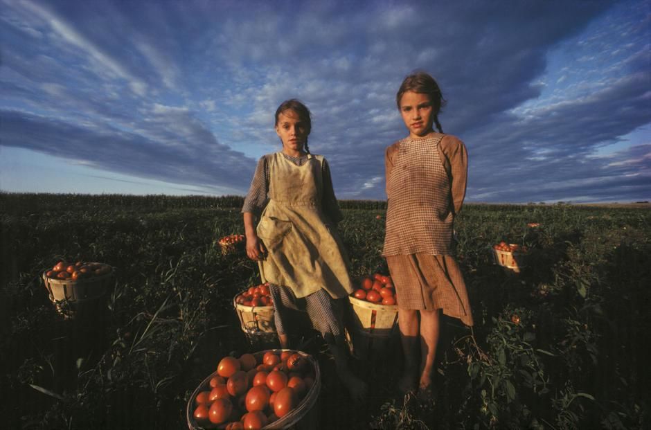 Two Amish girls under a cloud-filled sky with bushels of tomatoes in Lancaster, Pennsylvania. USA. [Photo of the day - November 2011]