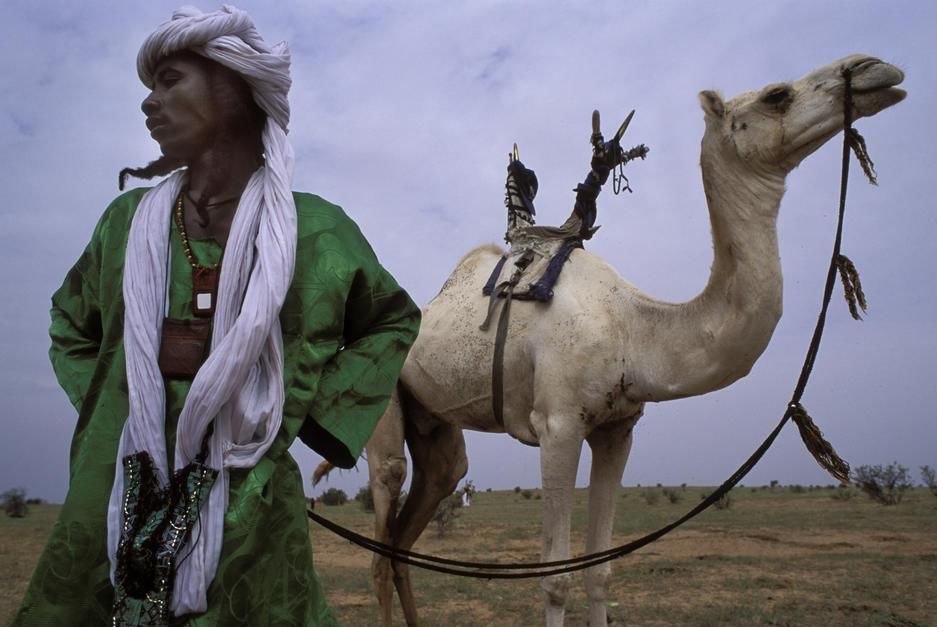 A wodaabe man holds his Mehari Camel's reins. Niger. [Photo of the day - November 2011]
