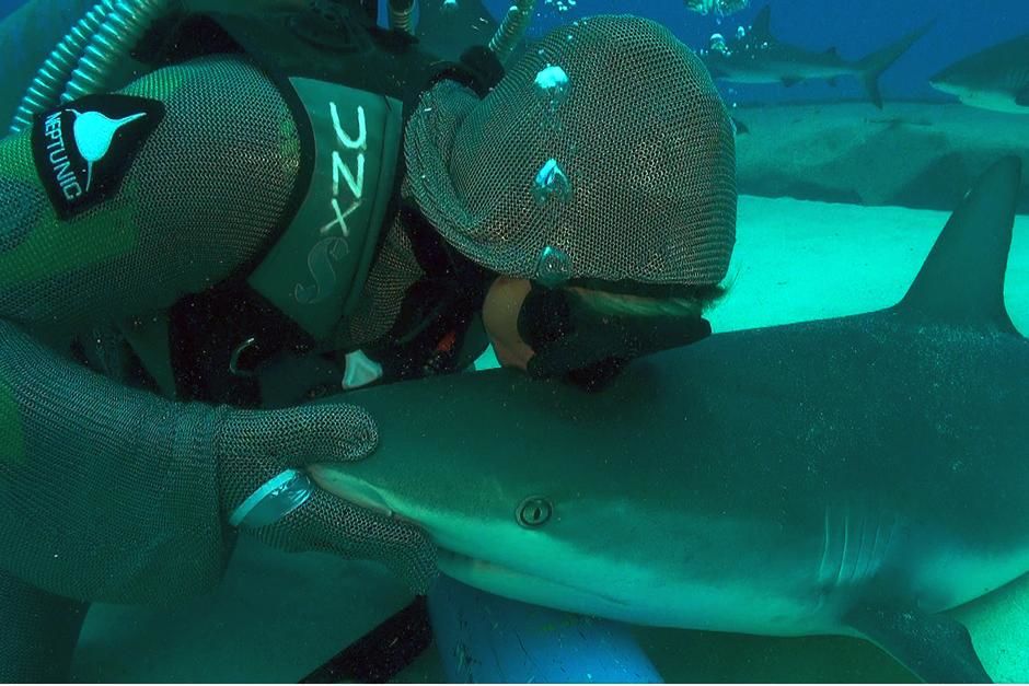 Bahamas: Christina kissing a shark. This image is from Shocking Sharks. [Photo of the day - July 2013]
