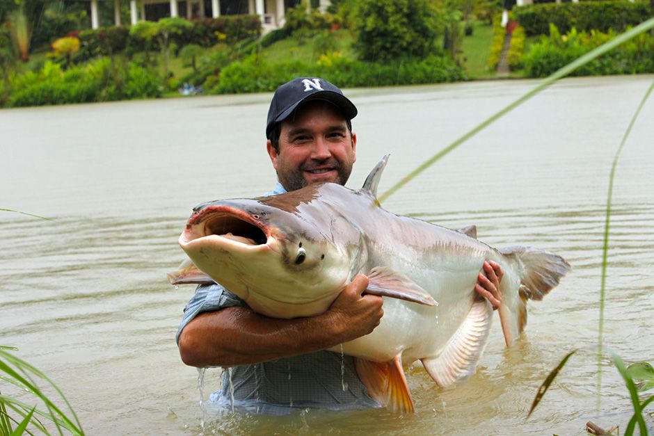 Thailand: Zeb Hogan holds a Mekong giant catfish caught from the nine-acre lake at Gillhams... [Photo of the day - November 2013]