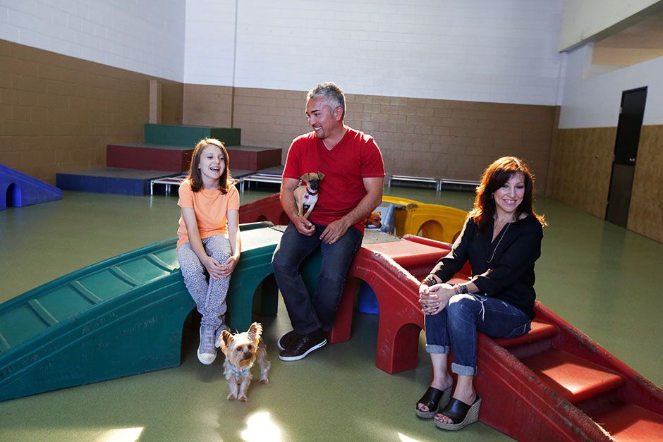 Brazil: Cesar Millan sitting with some companions. This image is from Cesar Millan Doggie... [Photo of the day - January 2014]