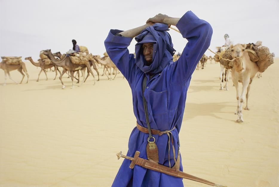 A member of the salt camel caravan, near Fachi. [Photo of the day - January 2012]