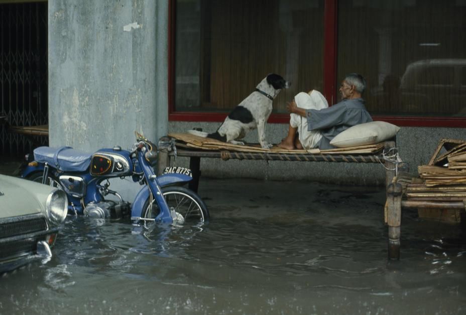 A night watchman and dog sit on a make-shift bed on a flooded street. [Photo of the day - February 2011]