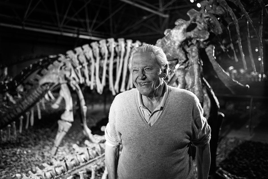 Lufeng Dinosaur National Geopark, China:  David in a museum with a dinosaur. This image is from... [Photo of the day - February 2014]