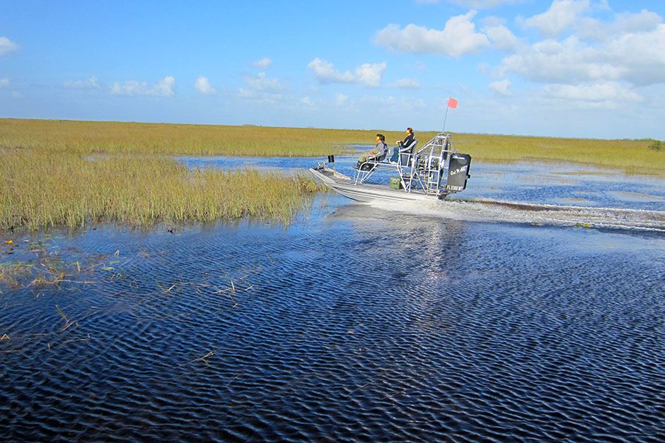 USA: Jose and Francis speed along the swamps as passengers in an airboat. This image is from... [Photo of the day - February 2014]