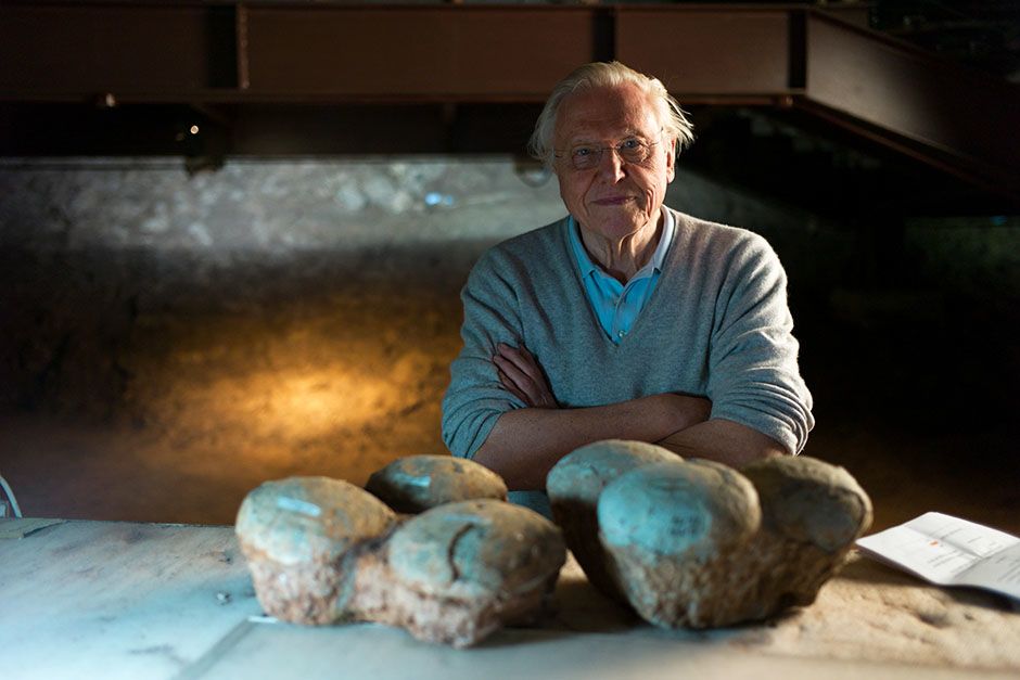 Lufeng Dinosaur National Geopark, China: Portrait of David Attenborough with Dinosaur eggs in... [Photo of the day - February 2014]