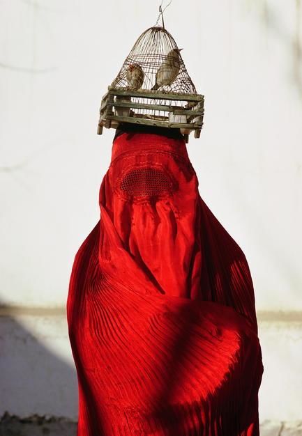 اليوم هو يوم المرأة العالمي. وهنا امرأة من كابول تحمل... [Photo of the day - مارس 2011]