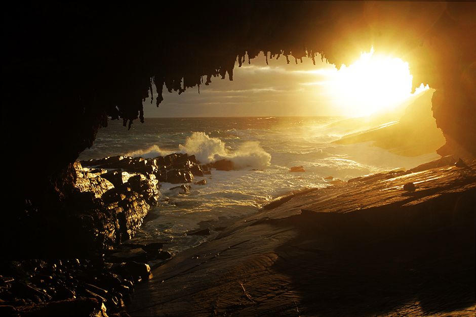 Admirals Arch at Cape du Couedic on Kangaroo Island is a popular resting place for New Zealand... [Photo of the day - July 2014]