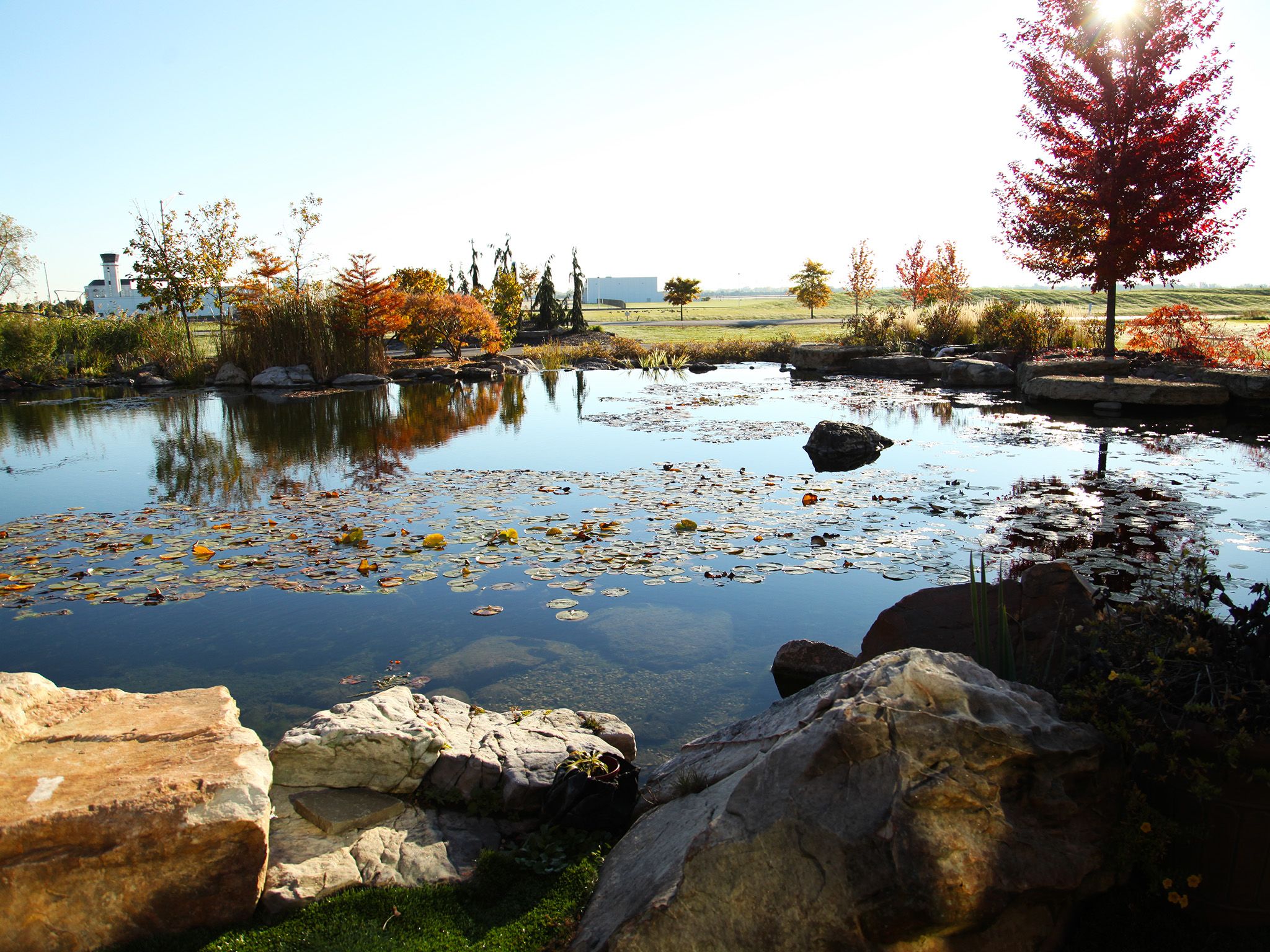 The massive pond at Aquascape headquarters.  This image is from Pond Stars. [Photo of the day - October 2014]