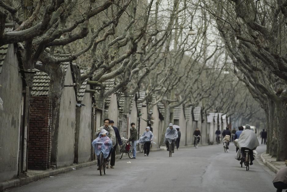 Cyclists pedal down the old hutongs (alleys) of Shanghai. [Photo of the day - April 2011]