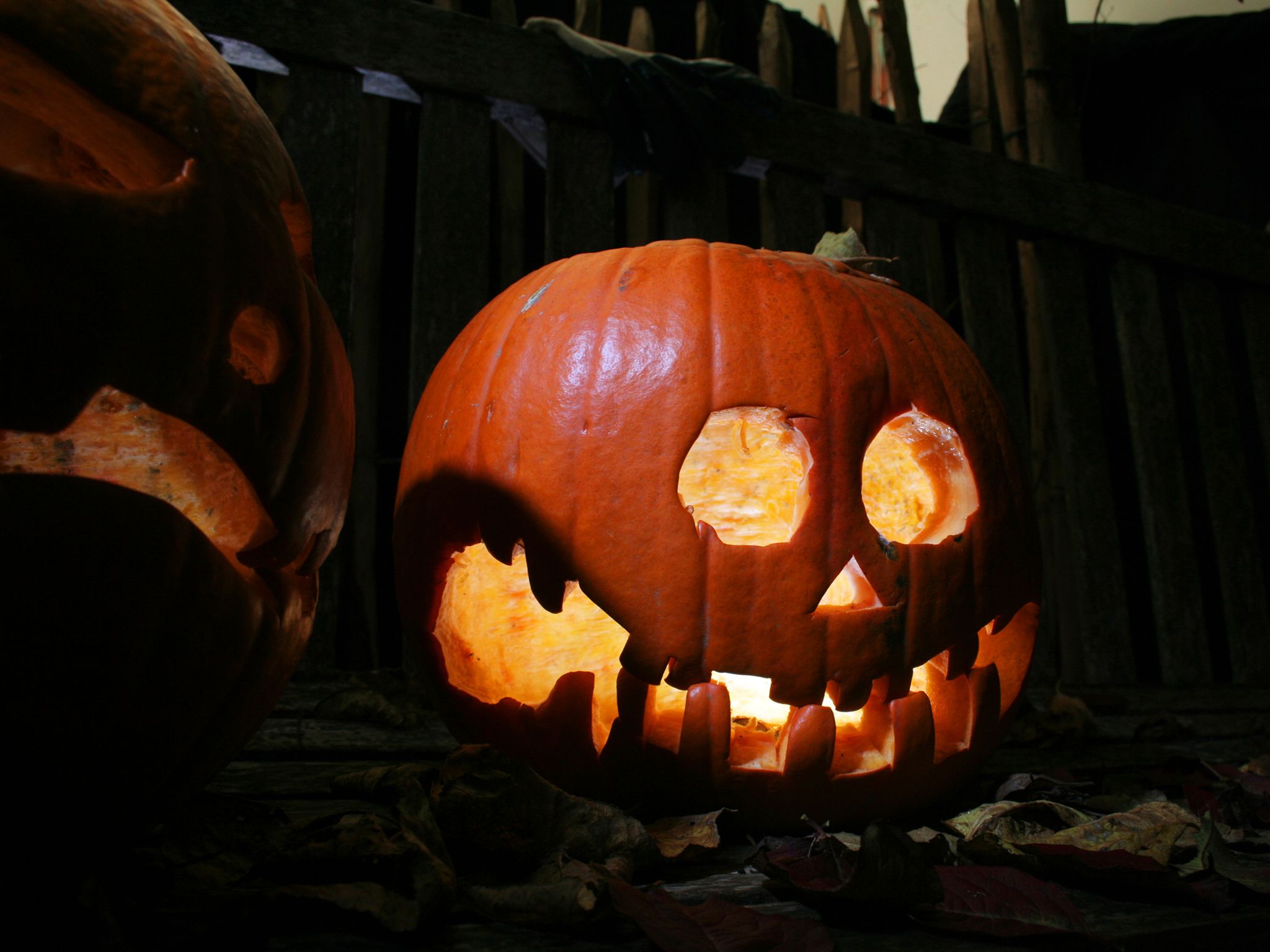 A jack-o-lantern. This image is from Secret Garden. [Photo of the day - January 2015]