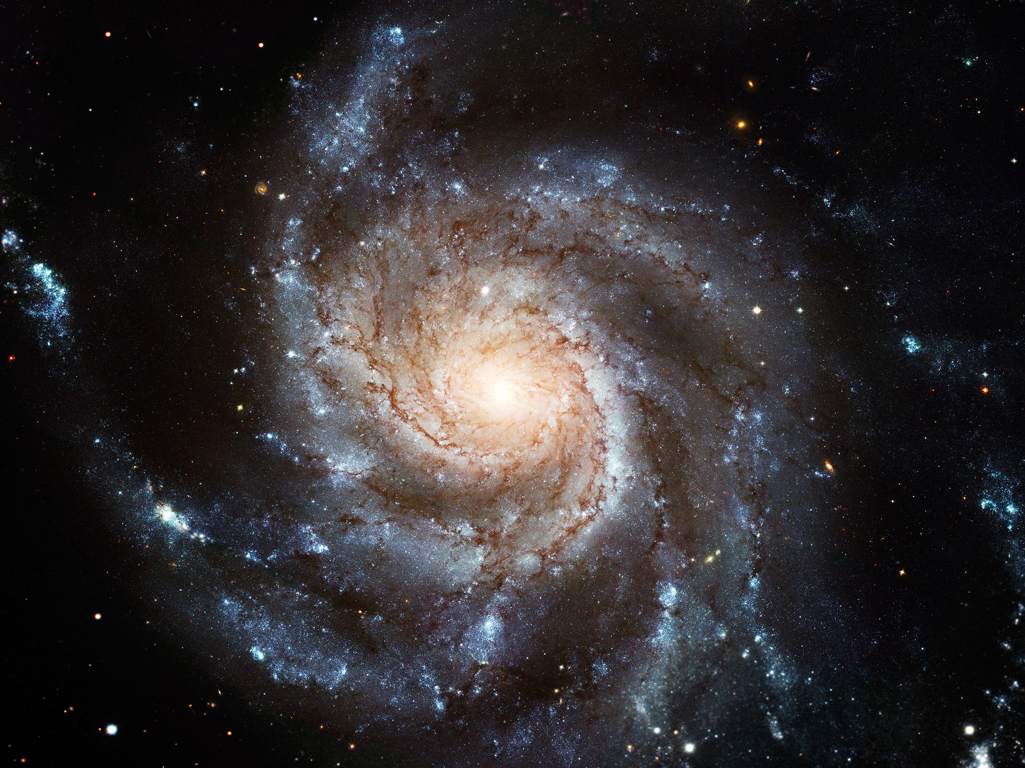 The Pin Wheel Galaxy. This image is from Hubble's Cosmic Journey. [Photo of the day - April 2015]