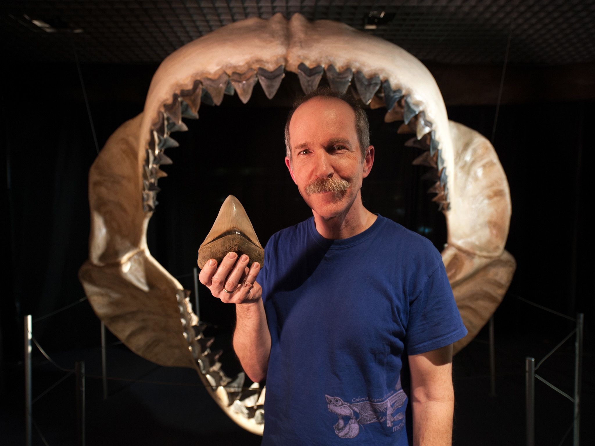Baltimore, MD: Stephen J. Godfrey Ph.D. Curator of Paleontology, Calvert Marine Museum. Stephen... [Photo of the day - June 2015]
