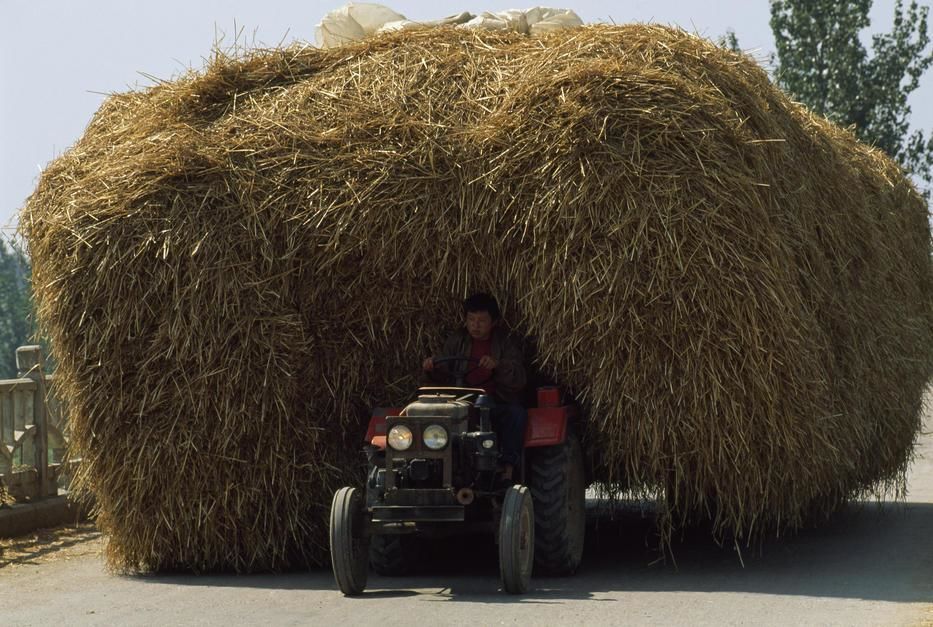 A farmer pulling a wagon heaped with straw in Shandong. [Photo of the day - June 2011]