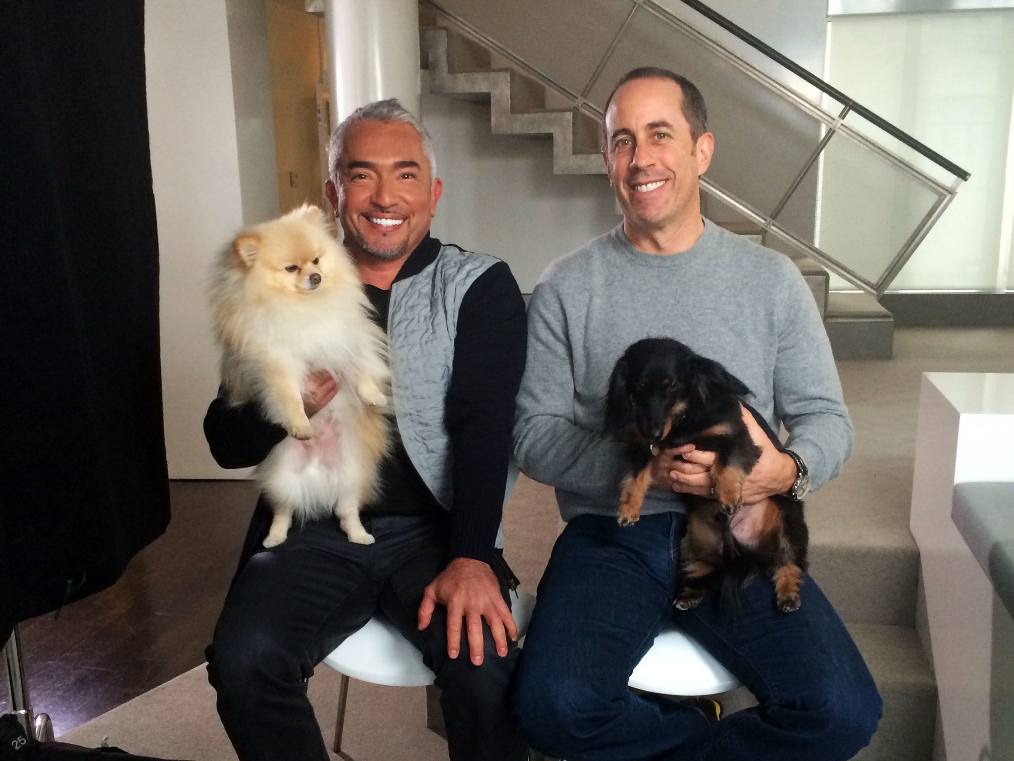 Cesar Millan, left, helps legendary comedian Jerry Seinfeld get better control of his two... [Photo of the day - May 2016]