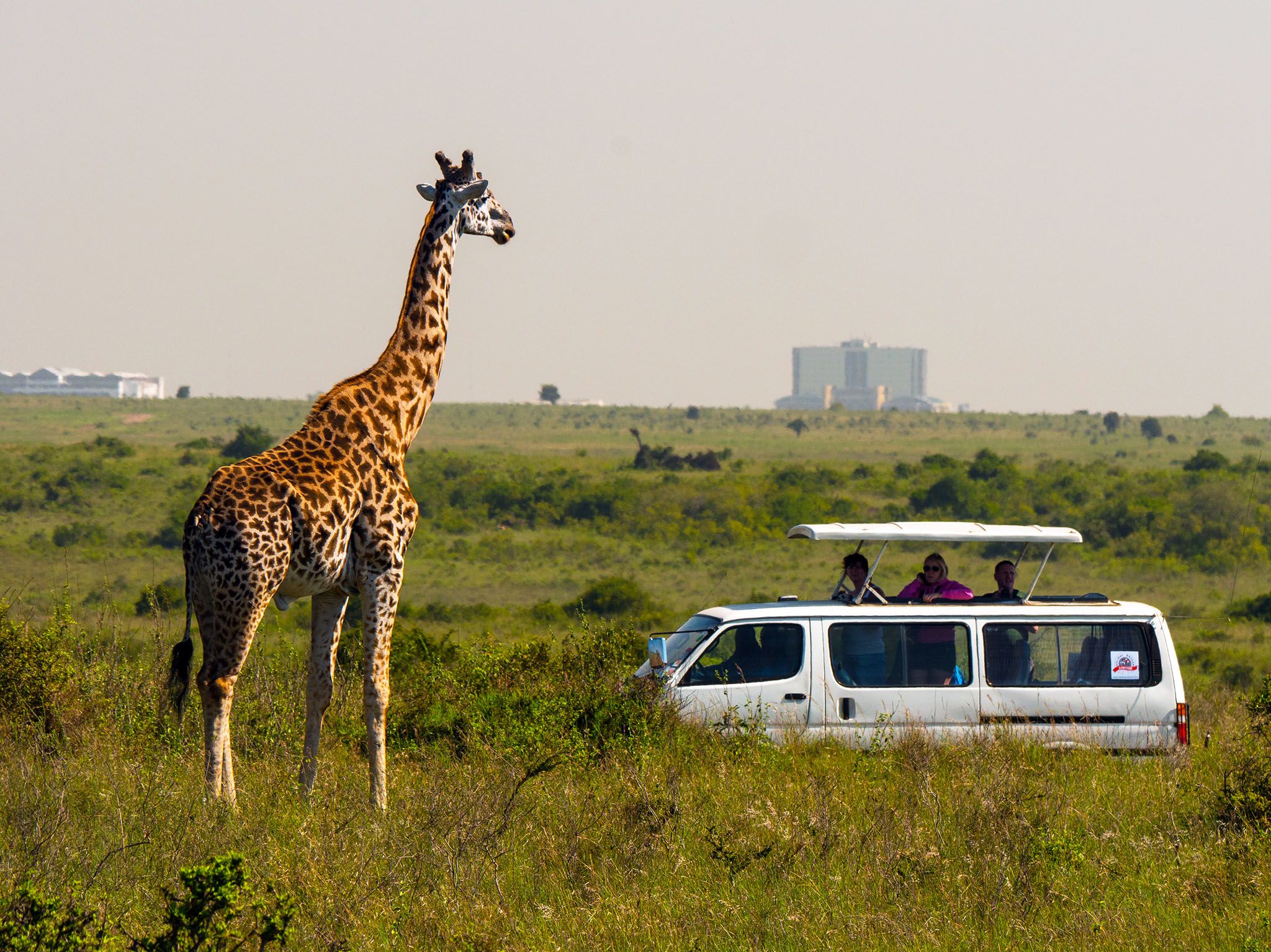 كينيا: حديقة نيروبي الوطنية المعروفة بمناظرها... [Photo of the day - مايو 2017]