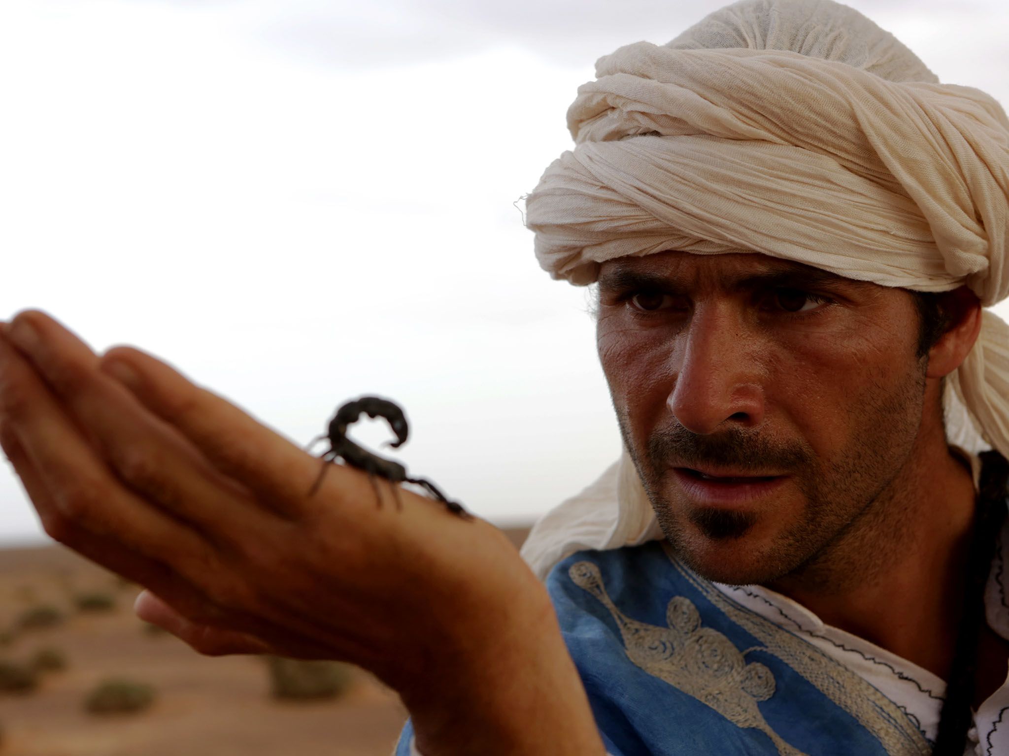 Morocco: Hazen holds a poisonous scorpion. This image is from Primal Survivor. [Photo of the day - May 2017]