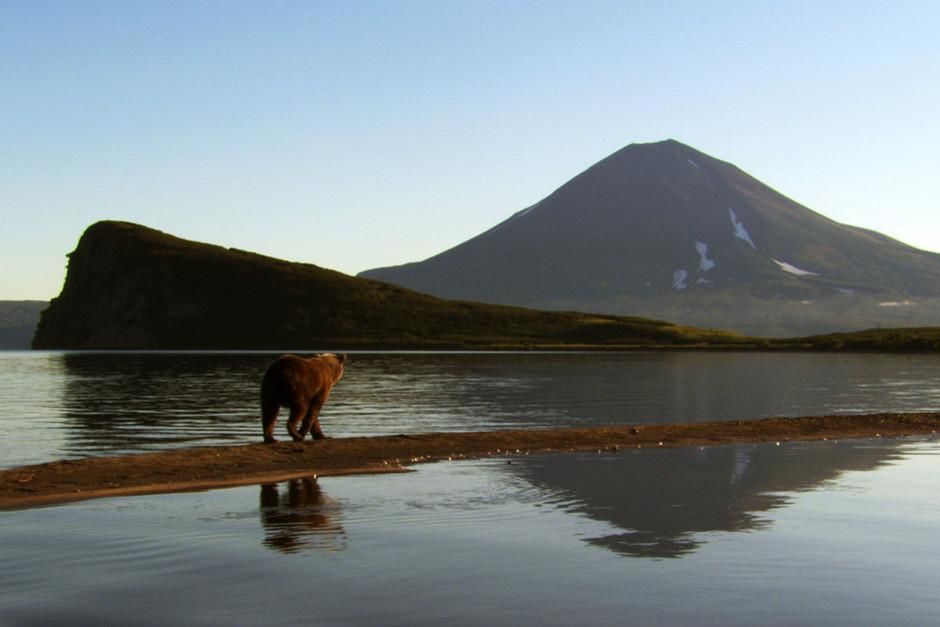  Bears and volcanoes of Kamchatka. This image is from Wild Russia. [Photo of the day - March 2012]