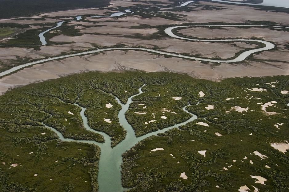 An aerial view of a river and tributary streams in Northern Terriotory. [Photo of the day - August 2011]