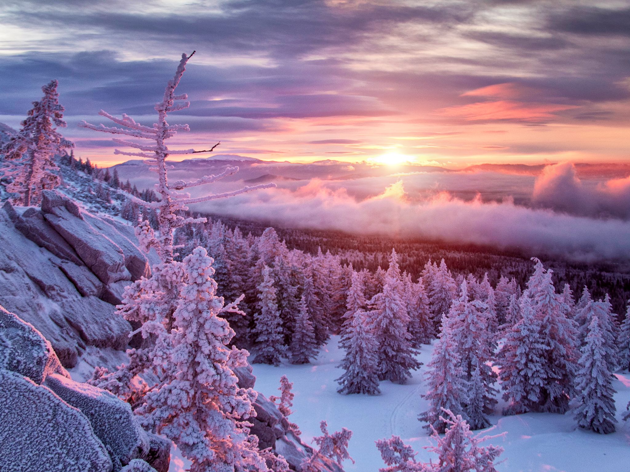 صورة لمشهد طبيعي تحيط بالألوان الأرجوانية والجبال... [Photo of the day - ديسمبر 2017]