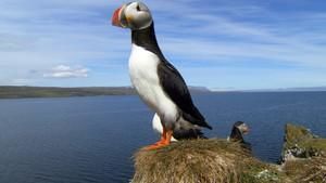 Photo Of The Day - National Geographic Channel - Canada