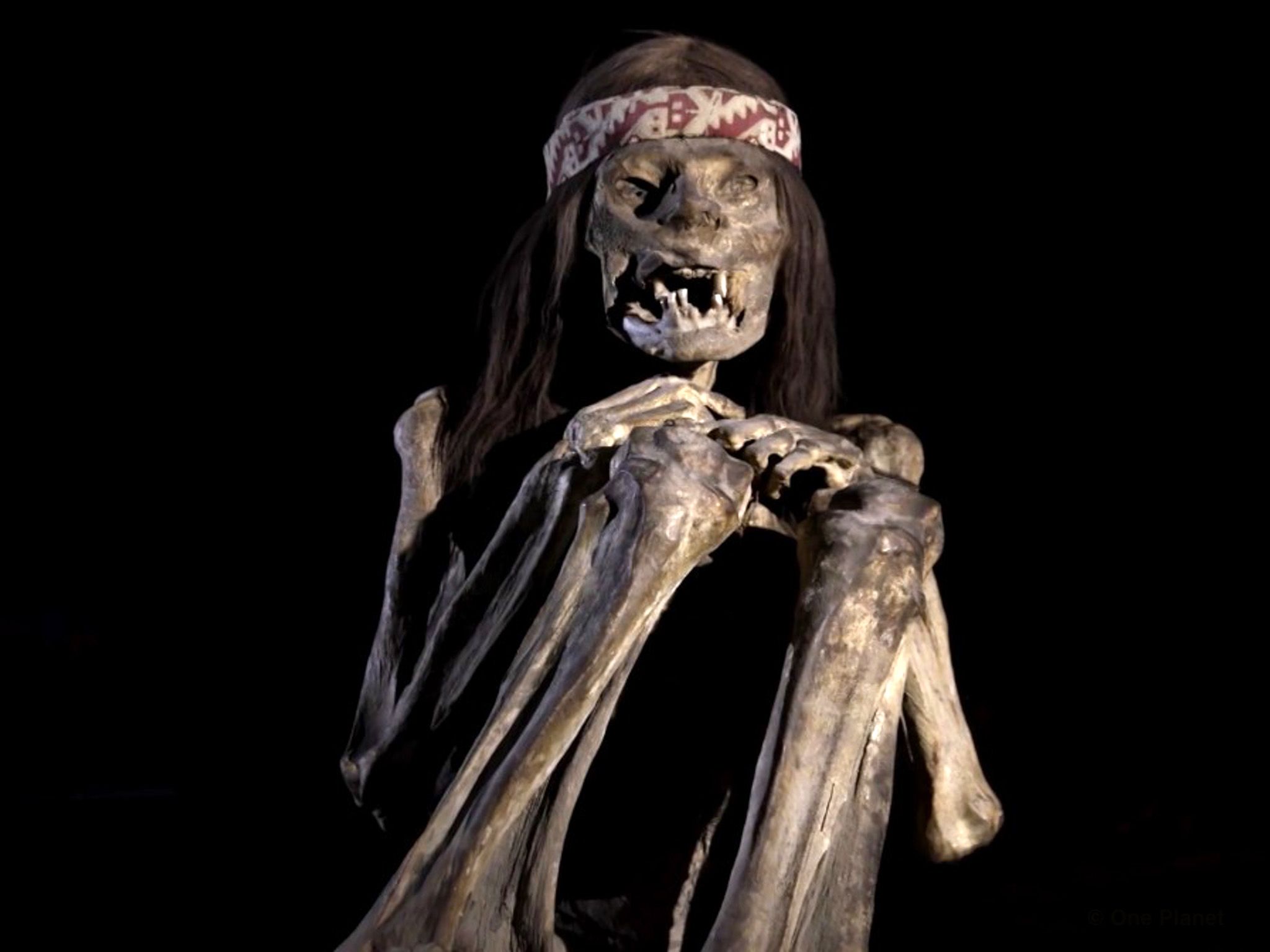 مومياء محفوظة في متحف إيكا الإقليمي في بيرو. هذه... [Photo of the day - سبتمبر 2019]