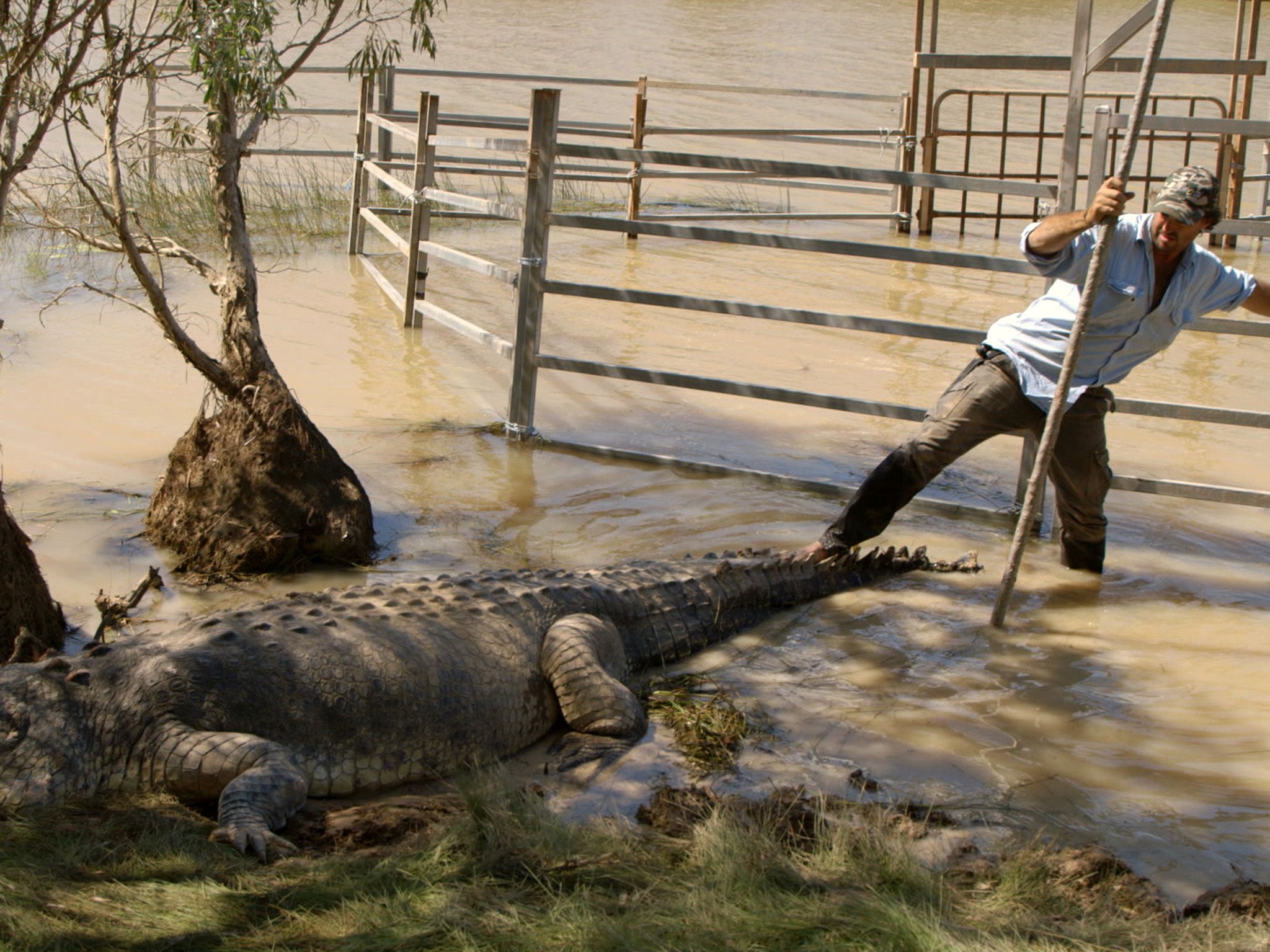 Northern Territory, Australia:  Matt Wright wrangles the crocodile.  This image is from Monster... [Photo of the day - November 2019]
