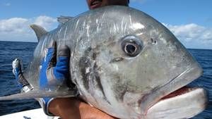 Hooked: Monster Fishing photo