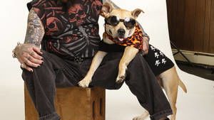 Rescued Animals photo