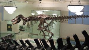 Evolutions: Last Living Dinosaur photo
