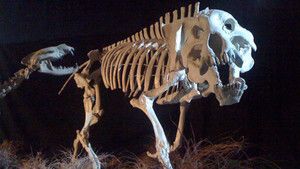 Prehistoric Predators Images photo