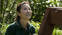Great Apes With Michelle Yeoh show