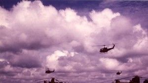 The Vietnam War 照片