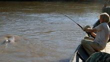 Colossal Catfish show