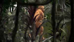 Ape Man of Sumatra photo