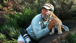 Young Tigers photo