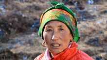 Himalayan Life show