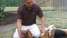 Dog Whisperer 3 Episodes 6-10 show