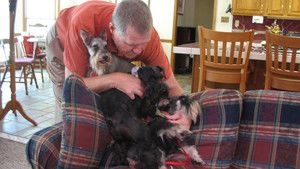 Dog Whisperer 3 Episodes 11-15 photo