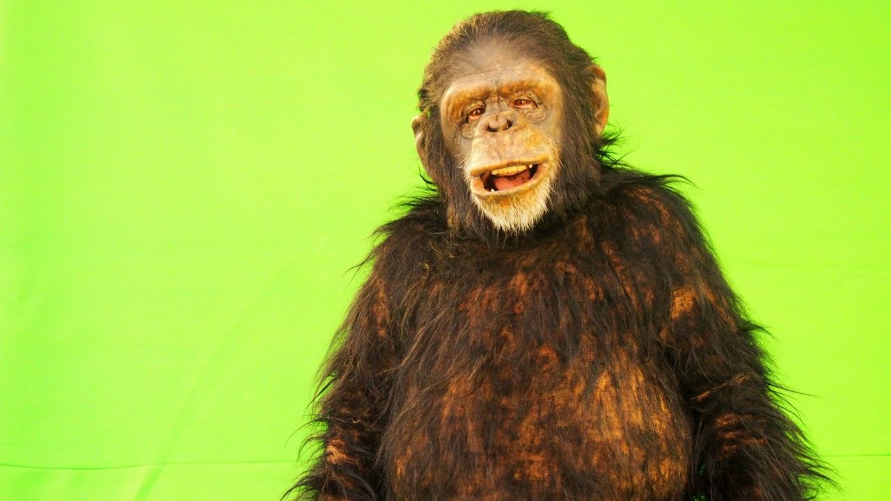 ape man experiment