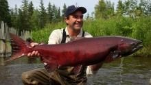Bizarre Giant Fish show