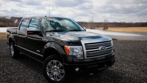 Ford F 150 photo
