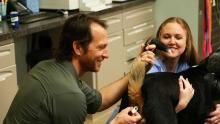 Animal Jobs show