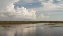 Everglades show