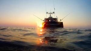 Toughest Fishermen photo
