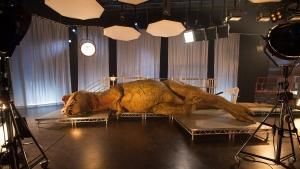 Inside the T. rex recreation photo
