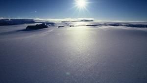 Wild Antarctica photo