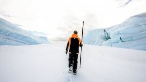 القارة 7: أنتاركتيكا صورة