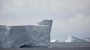 القارة 7: أنتاركتيكا صورة