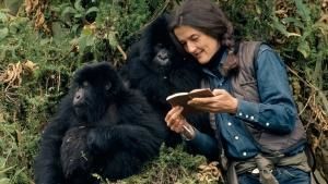 Dian Fossey’s Legacy photo